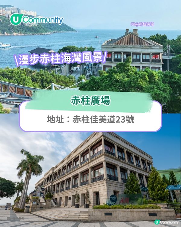 寵物好去處2025｜港島區寵物友善商場推介 全新寵物公園/一站式寵物玩樂區