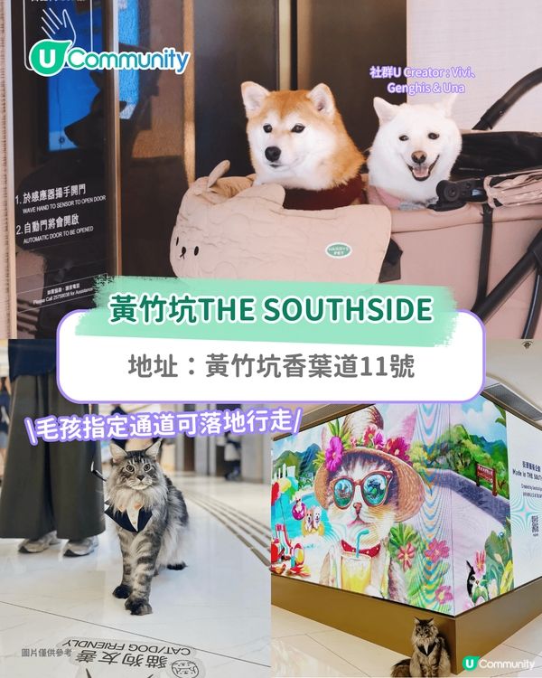 寵物好去處2025｜港島區寵物友善商場推介 全新寵物公園/一站式寵物玩樂區