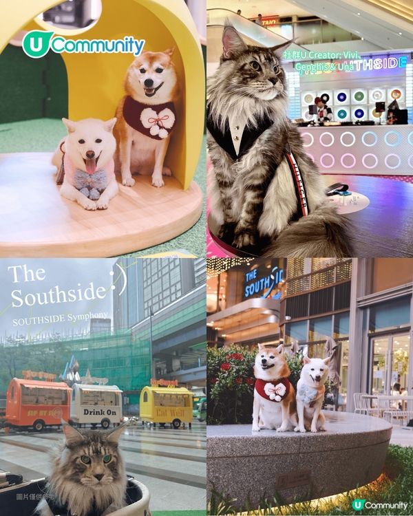 寵物好去處2025｜港島區寵物友善商場推介 全新寵物公園/一站式寵物玩樂區