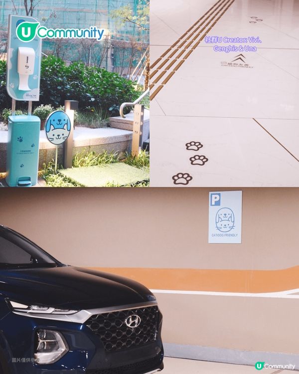 寵物好去處2025｜港島區寵物友善商場推介 全新寵物公園/一站式寵物玩樂區