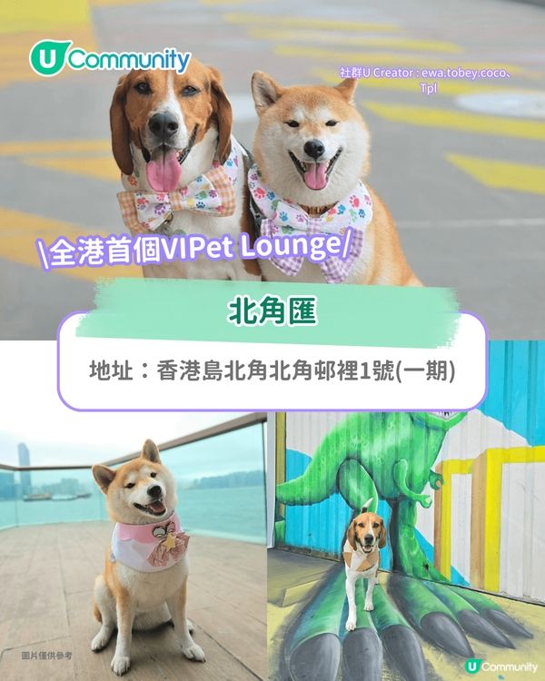 寵物好去處2025｜港島區寵物友善商場推介 全新寵物公園/一站式寵物玩樂區