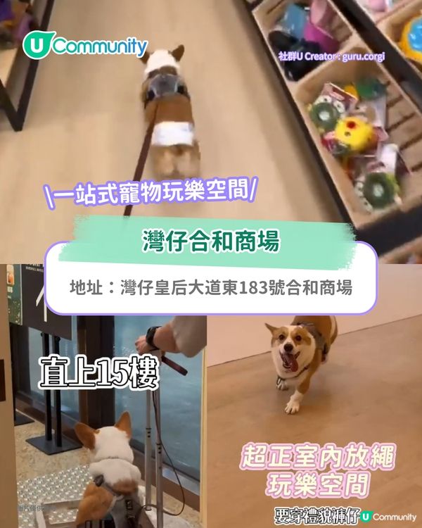 寵物好去處2025｜港島區寵物友善商場推介 全新寵物公園/一站式寵物玩樂區
