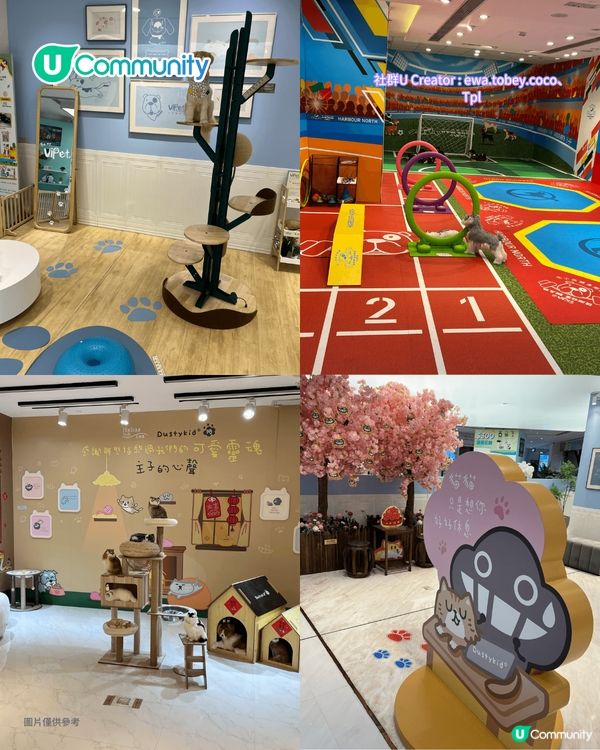 寵物好去處2025｜港島區寵物友善商場推介 全新寵物公園/一站式寵物玩樂區
