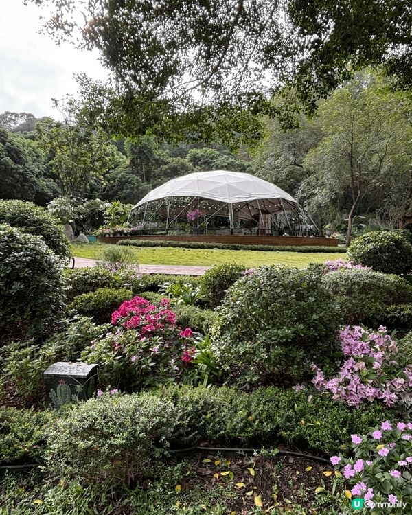 週末放電好去處！深業上城打卡＋美食＋購物一次滿足💖