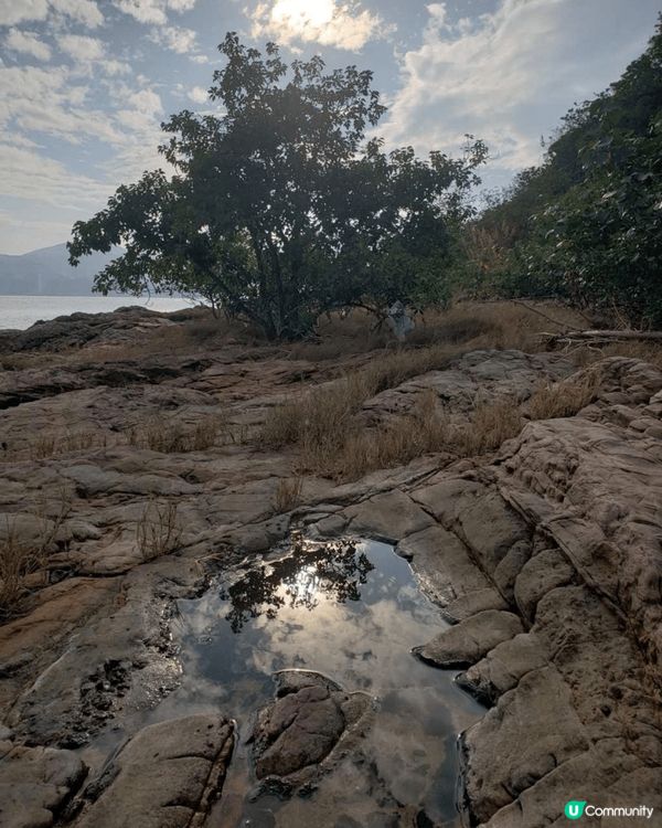 大埔馬屎洲位於新界東北，係香港嘅地貿公園，漁排同遊艇就響地質...