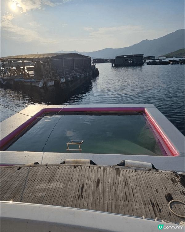 大埔馬屎洲位於新界東北，係香港嘅地貿公園，漁排同遊艇就響地質...