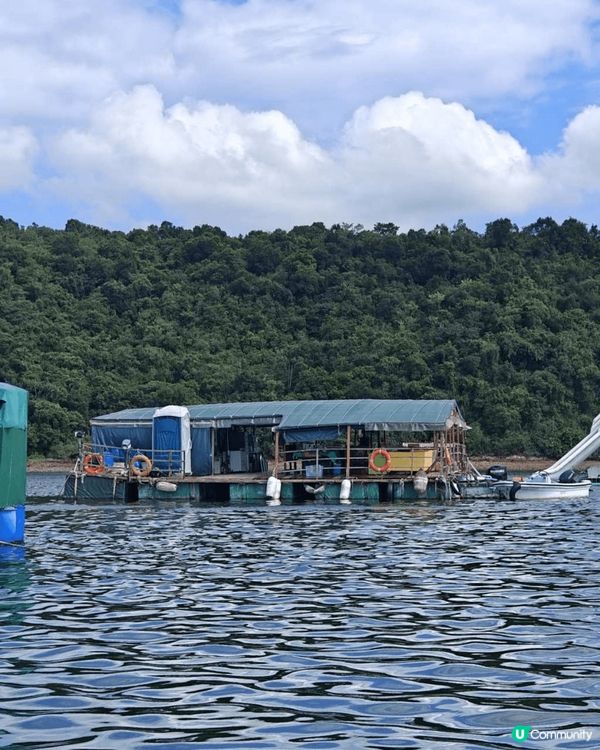 大埔馬屎洲位於新界東北，係香港嘅地貿公園，漁排同遊艇就響地質...