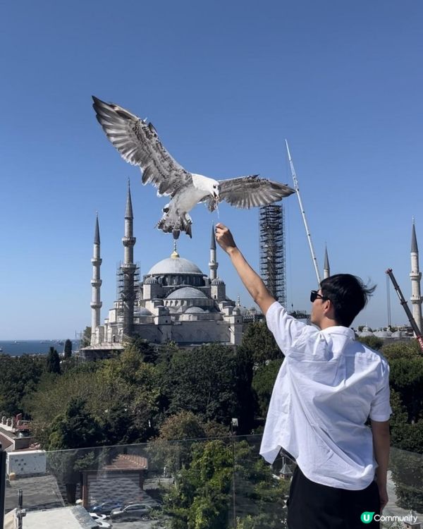 2025 土耳其之旅 伊斯坦堡 Day 8-9