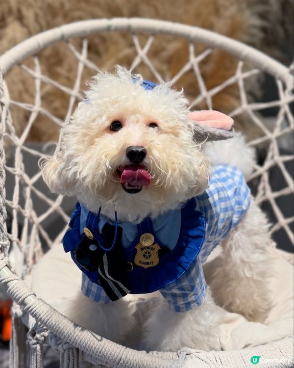 禾想食多啲變肥肥