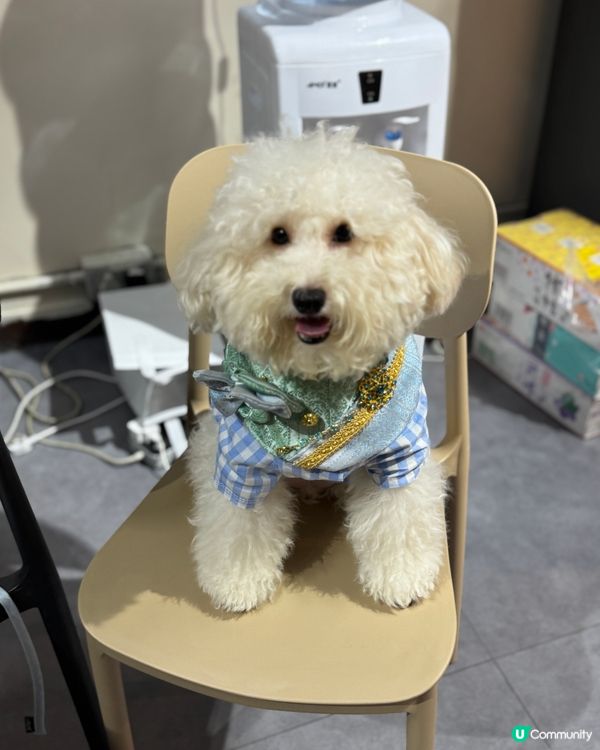 禾想食多啲變肥肥