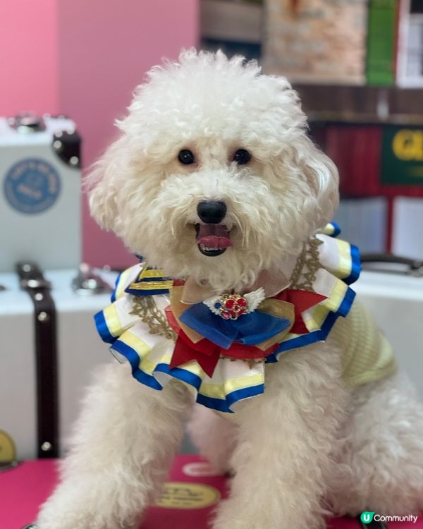 禾想食多啲變肥肥