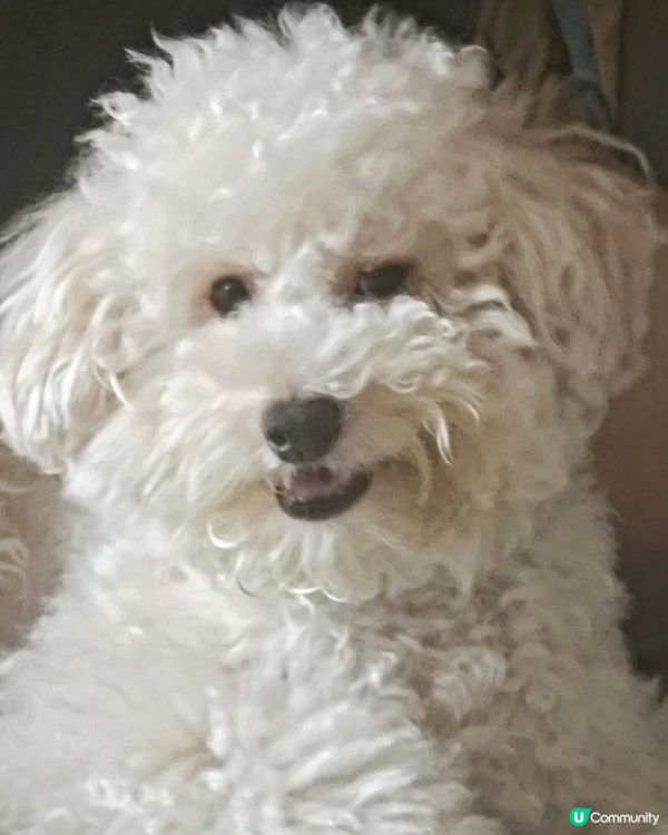 禾想食多啲變肥肥