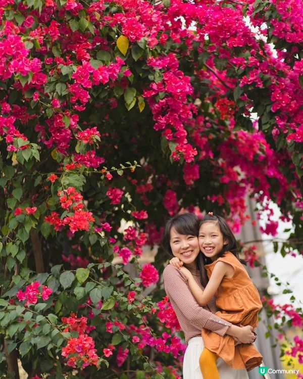 錦田散策遊！古蹟美食📸，打卡一流！