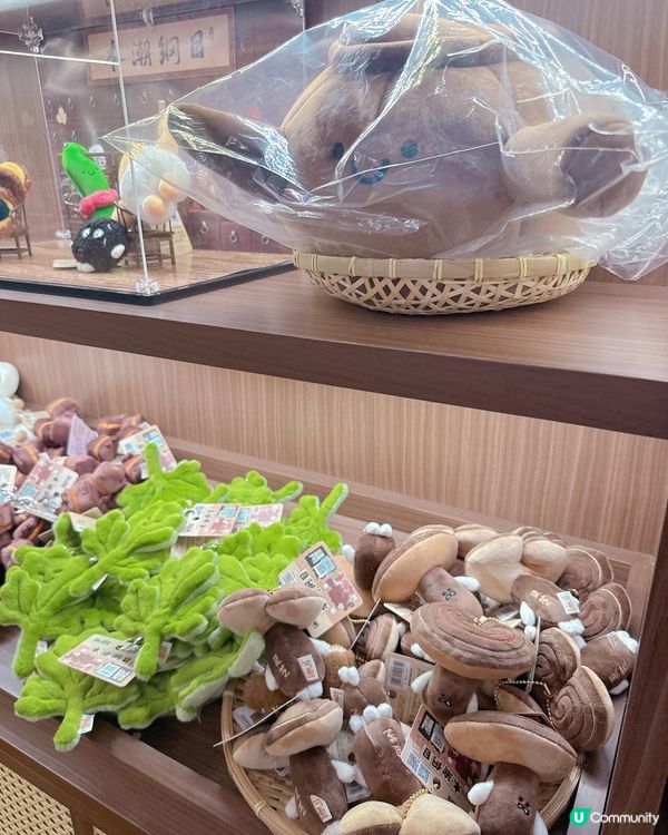 忠曜堂中式雪糕🍦｜有得意中藥公仔