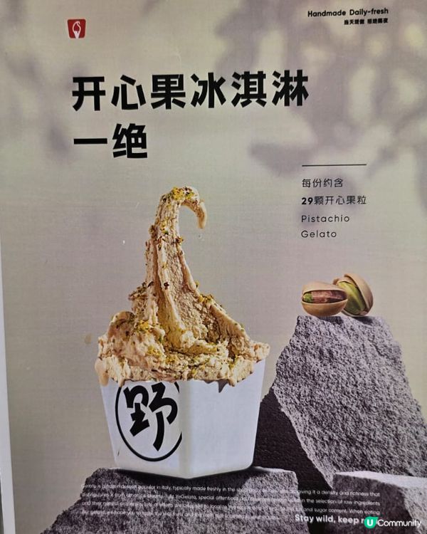 開心果冰淇淋🍦！野人先生真係正！😋