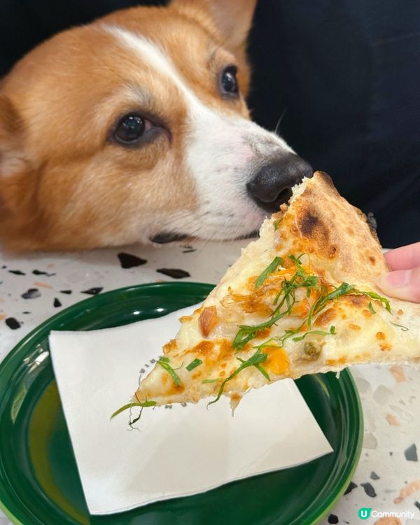 避風塘薄餅🍕+意粉🍝！九龍城意大利小店🤤