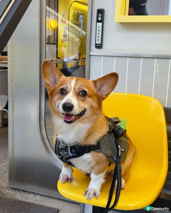 避風塘薄餅🍕+意粉🍝！九龍城意大利小店🤤
