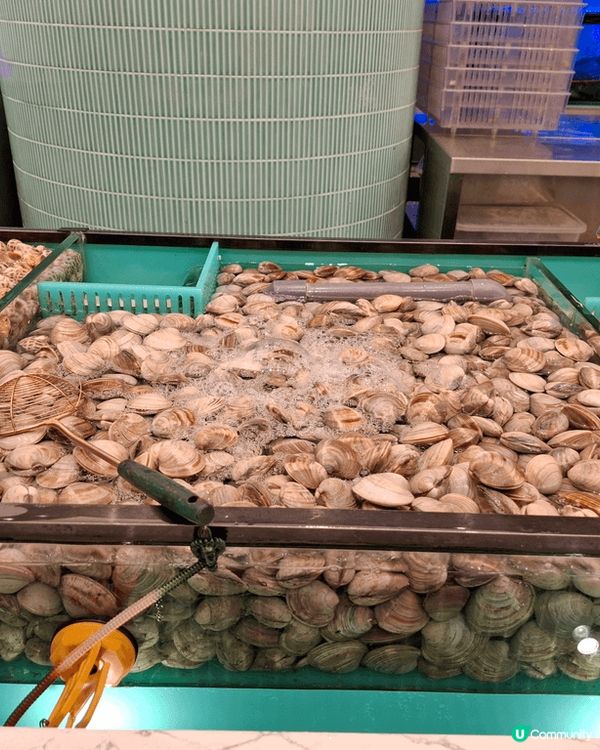 旺角新開了千海水產，於是即刻約朋友們齊齊去千海水產同放題，任...