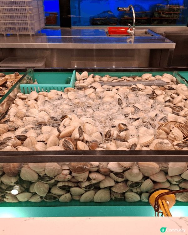 旺角新開了千海水產，於是即刻約朋友們齊齊去千海水產同放題，任...