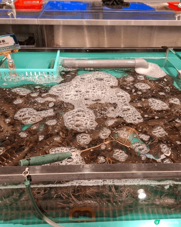 旺角新開了千海水產，於是即刻約朋友們齊齊去千海水產同放題，任...