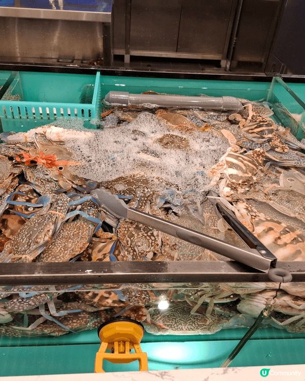 旺角新開了千海水產，於是即刻約朋友們齊齊去千海水產同放題，任...