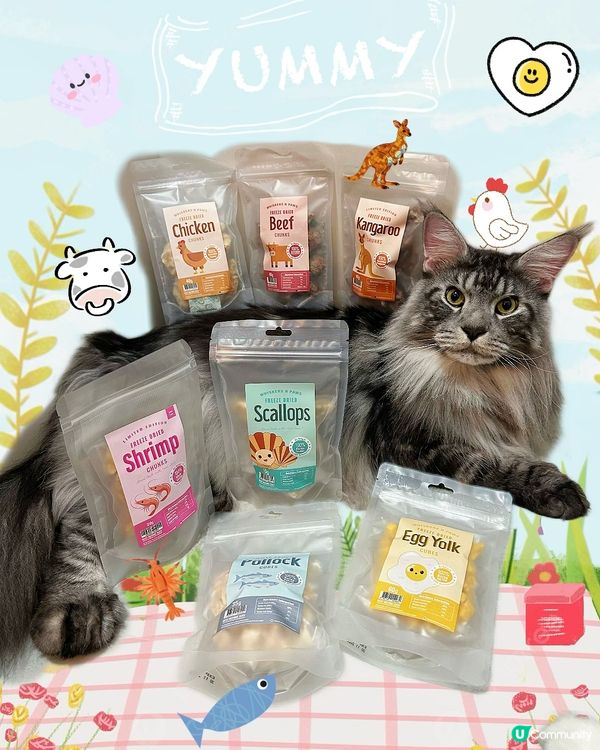 Whiskers N Paws寵物凍乾零食放題！主子試食報告😸