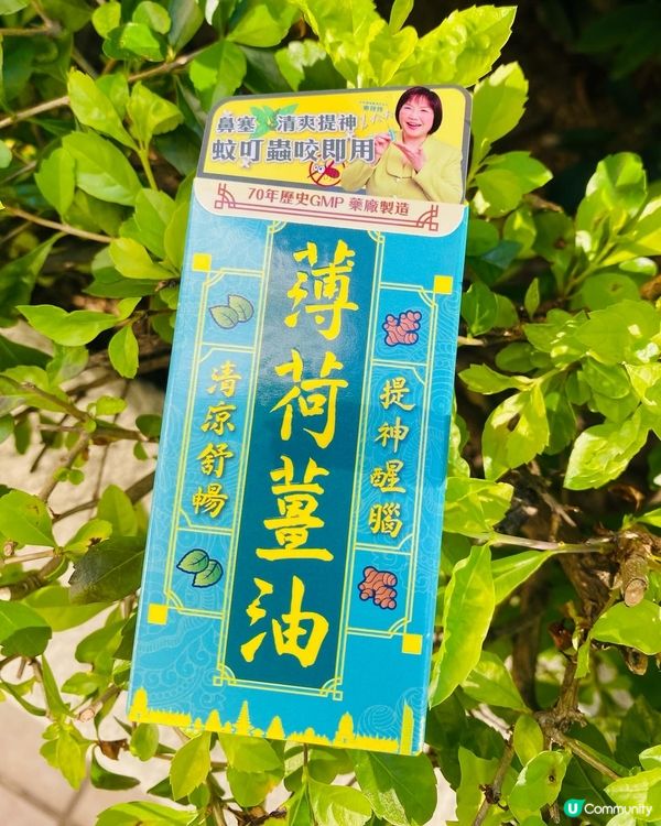 G&D➡️薄荷薑油