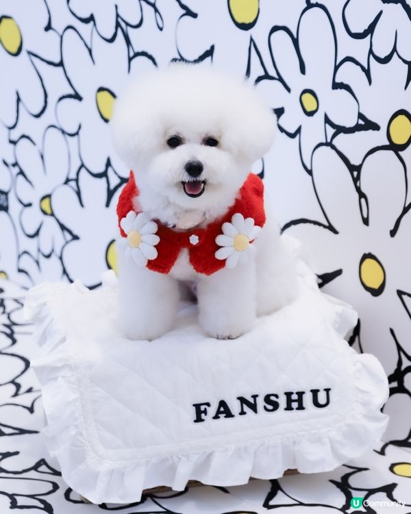 寵物成長日記 🩷 每日一相