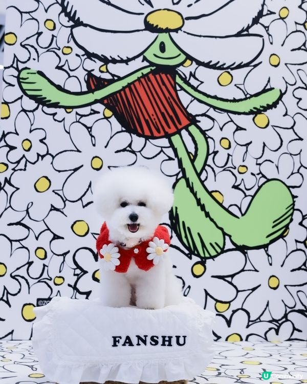 寵物成長日記 🩷 每日一相