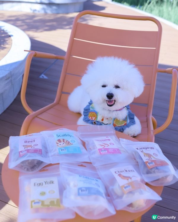 一口入魂！寵物凍乾零食🤤 限量版！你買左比主子未？