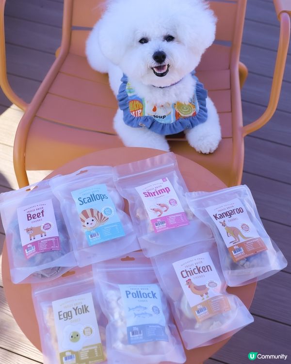 一口入魂！寵物凍乾零食🤤 限量版！你買左比主子未？