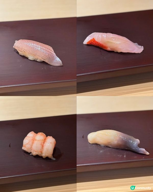 Omakase 體驗🤩！食材超新鮮！😋