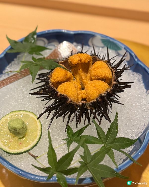 Omakase 體驗🤩！食材超新鮮！😋