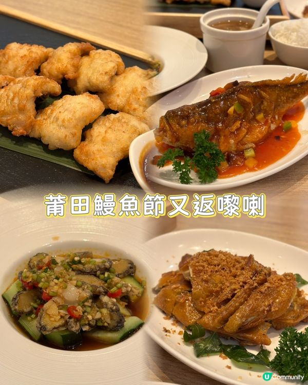 莆田鰻魚節開鑼！🤤 肥美鰻魚等你嚟！