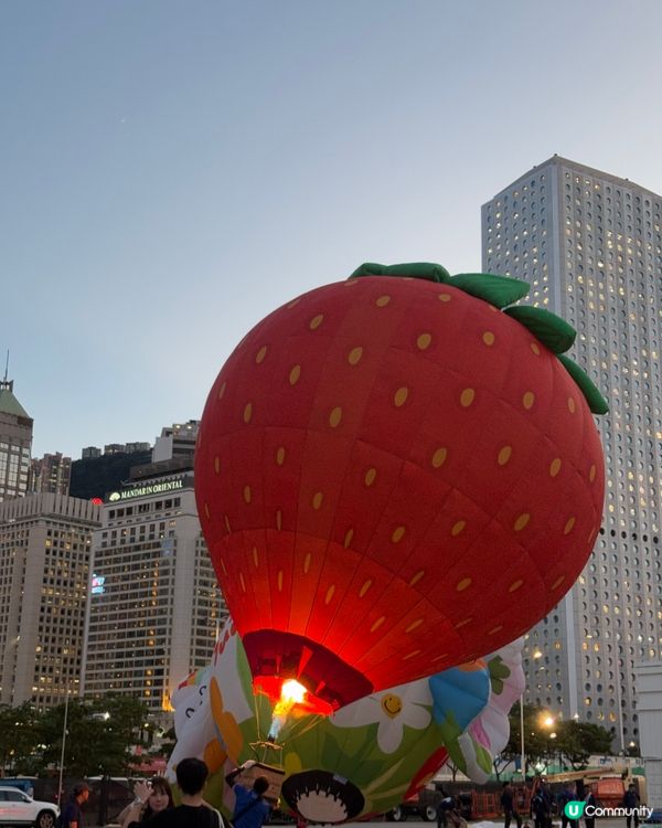 香港熱氣球節！🌇打卡維港靚景！🎈熊貓同貓貓勁可愛！😍