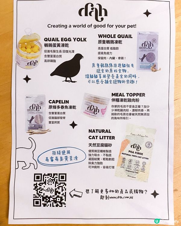 進貢貓貓主子大分享～💁🏽‍♀️