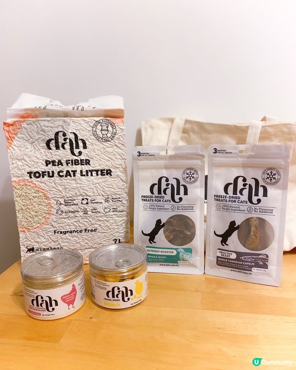 進貢貓貓主子大分享～💁🏽‍♀️