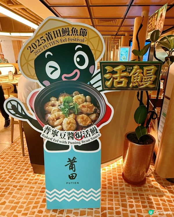 蒲田鰻魚節2025！🤤 蒜蓉豆豉蒸鰻魚超正！😋