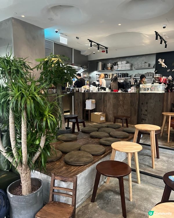 香港日系寵物Cafe🐾打卡一流📸！