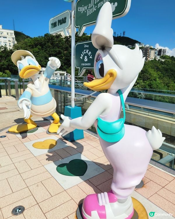 平靜舒適的打卡