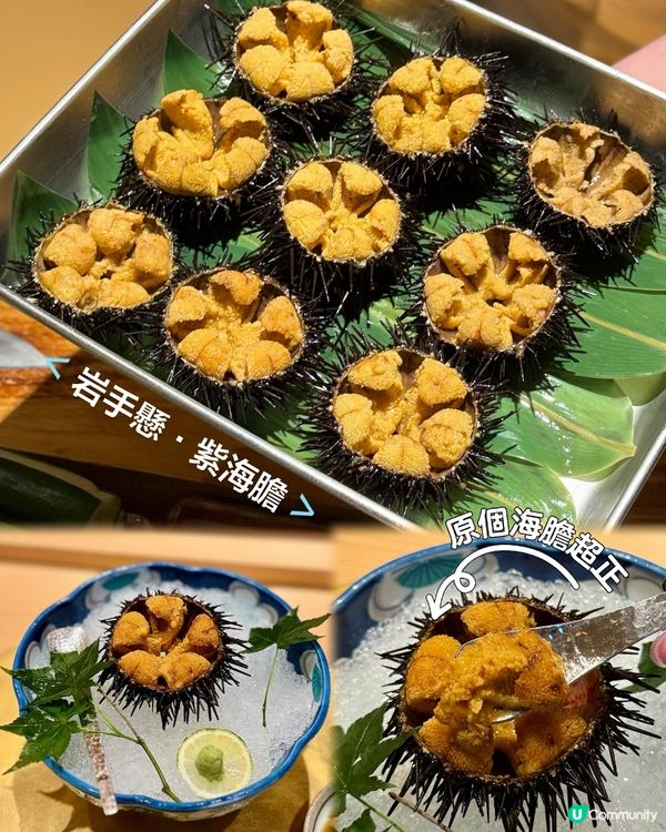 一年一度的海膽盛宴