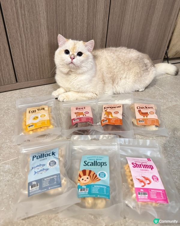 🐾Whiskers N Paws寵物零食開箱📦實現零食自由🤤