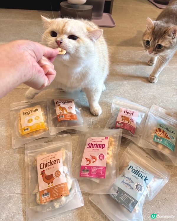 🐾Whiskers N Paws寵物零食開箱📦實現零食自由🤤