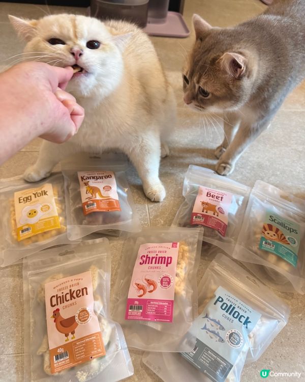 🐾Whiskers N Paws寵物零食開箱📦實現零食自由🤤
