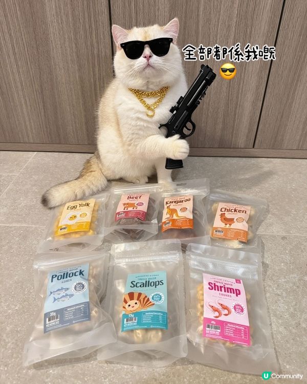 🐾Whiskers N Paws寵物零食開箱📦實現零食自由🤤