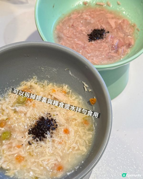 貓貓都要做好保健💪