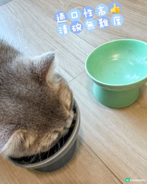 貓貓都要做好保健💪