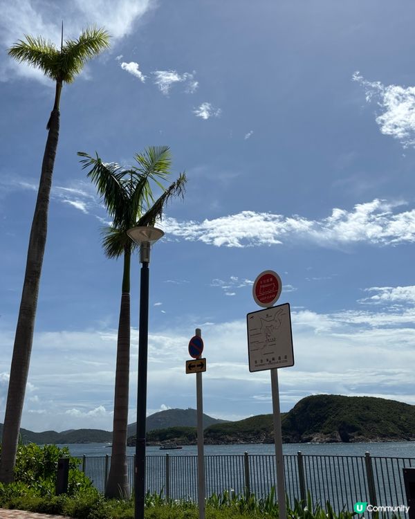 海洋公園水上樂園勁好玩！🌊 刺激設施等你嚟！🤩