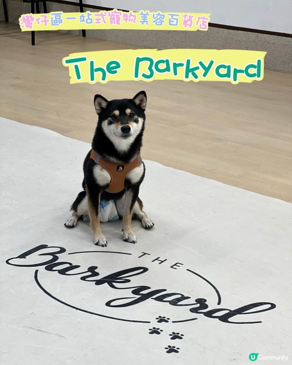 灣仔區一站式寵物美容百貨店