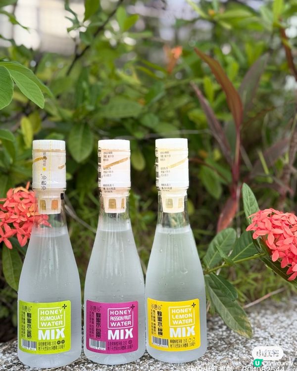 終於買到啦！🍯🍋 蜜水新體驗！😋